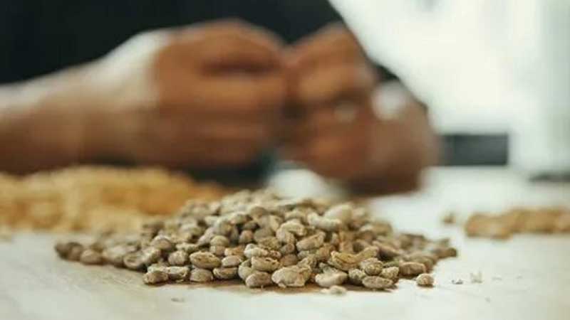 برشته کردن دانه سبز قهوه در خانه خواهیم