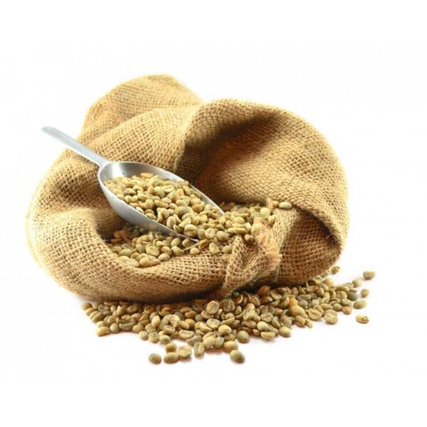 دانه قهوه سبز عربیکا 100 گرم