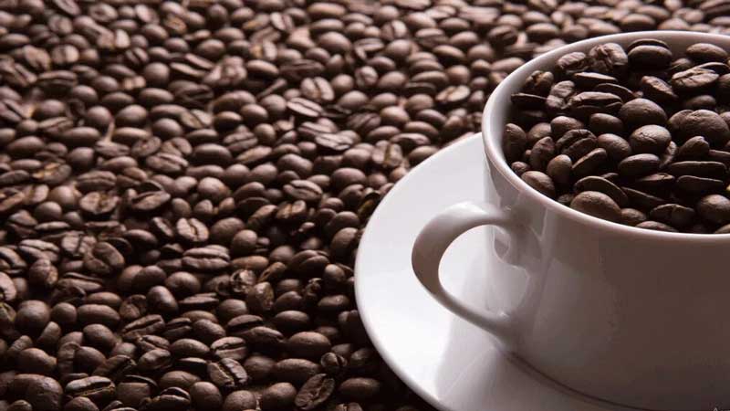 فروش قهوه ستل بست