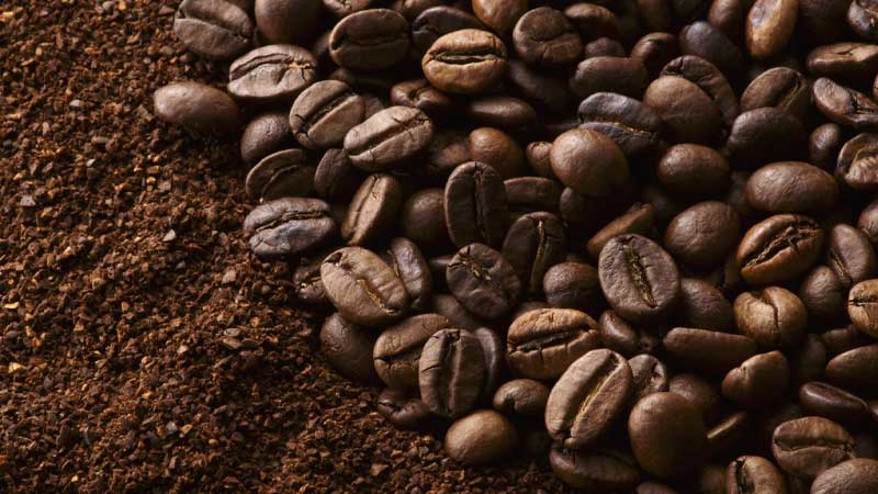 فروش قهوه برند نسکافه