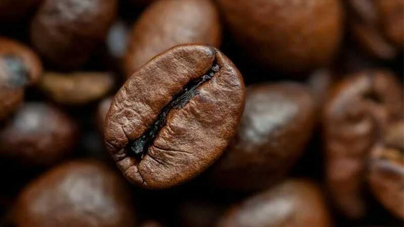 فروش قهوه کاستا