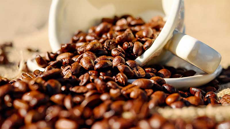 انواع قهوه دالمایر