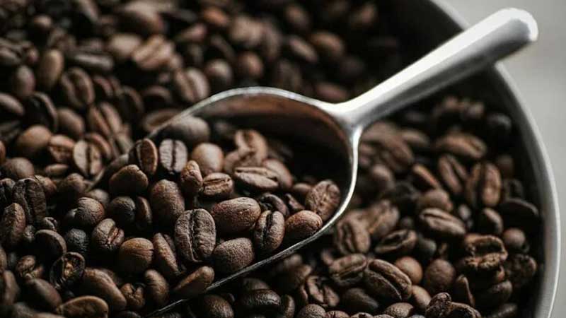 فروش قهوه دالمایر