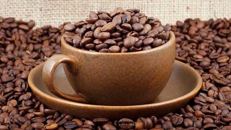 فروش قهوه لم