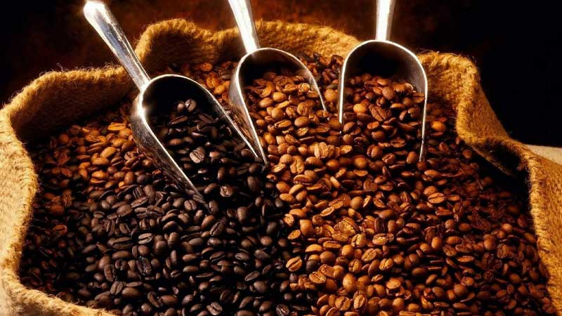 خرید برند قهوه کاماچین