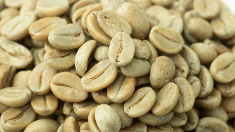 انواع آنتی‌ اکسیدانی دانه سبز قهوه 