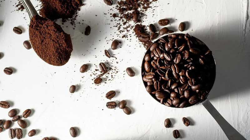 خرید برند قهوه رابین