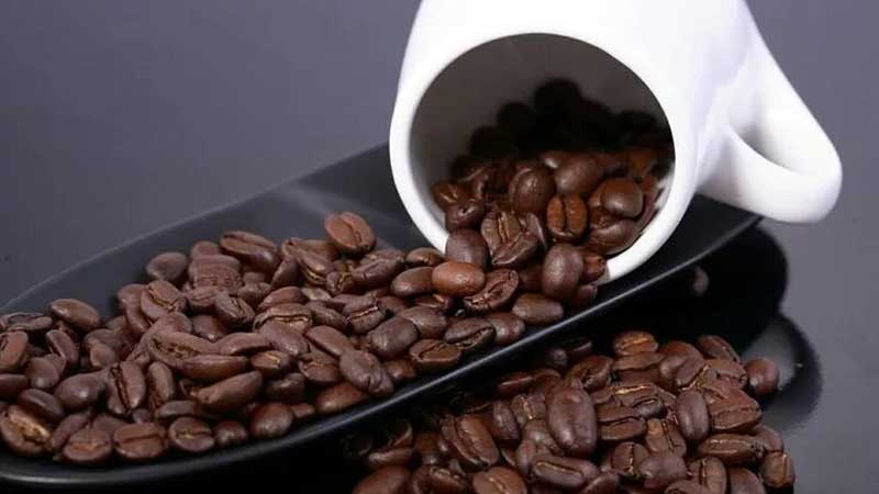 فروش برند قهوه رابین