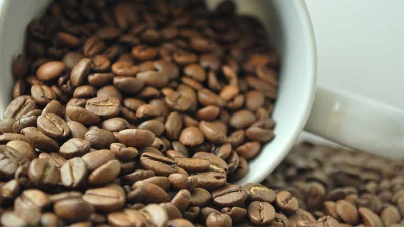 فروش برند قهوه افق تجارت فرد