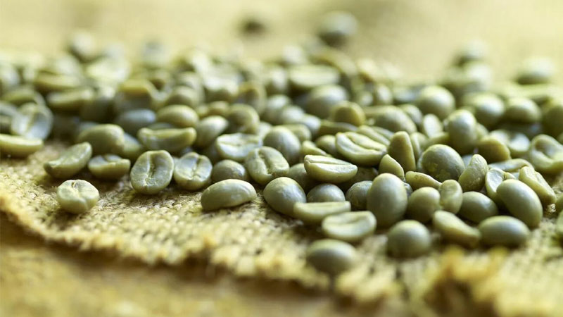 بررسی دانه سبز قهوه در رژیم غذایی