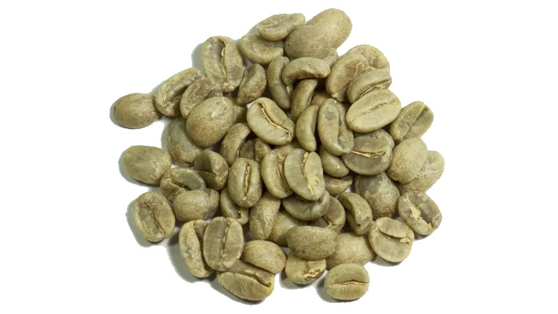 شرایط اقلیمی دانه سبز قهوه عربیکا چگونه است؟