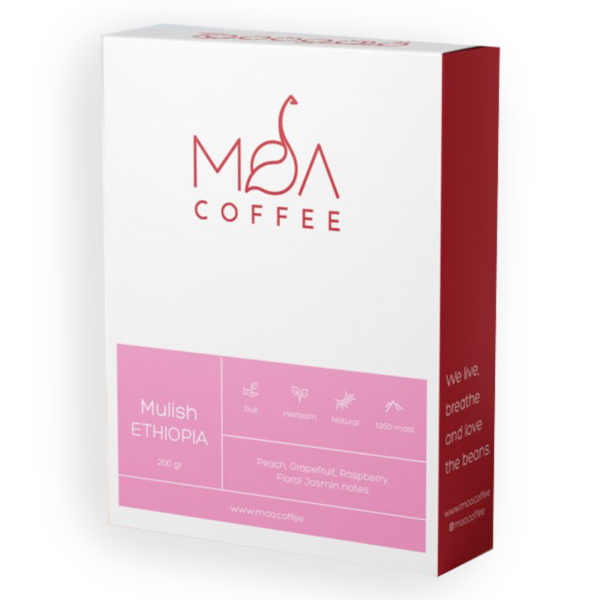 دانه قهوه ۲۰۰ گرمی اتیوپی مولیش موآ