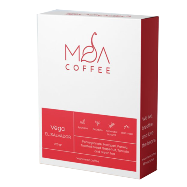 دانه قهوه ۲۰۰ گرمی ال سالوادور وگا موآ