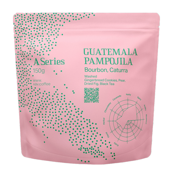 دانه قهوه گواتمالا پامپوجیلا ژاو